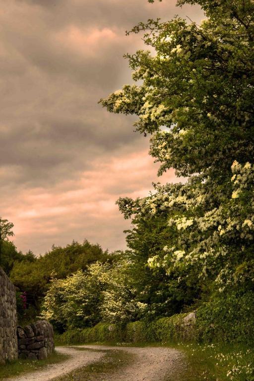 The Waters Country House Ballyvaughan Buitenkant foto